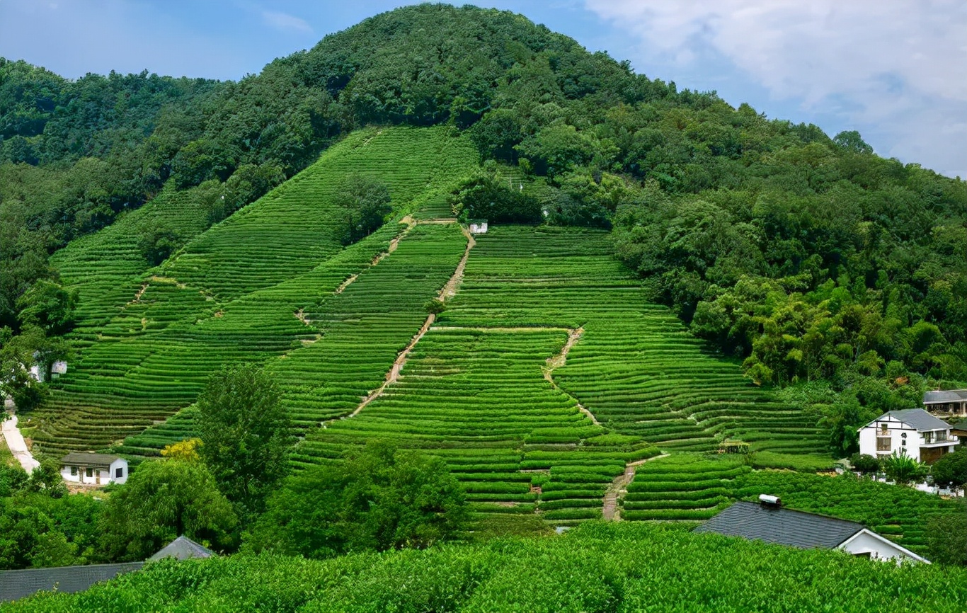 杭州深度游玩指南来了！品茶、游湖、登山...带你解锁多种新玩法