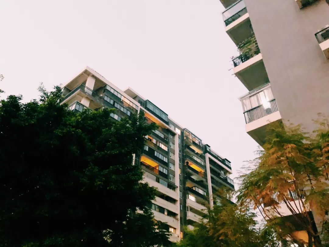 老破小一平10万+！我们走遍厦门18所名校，为你曝光最贵学区房！