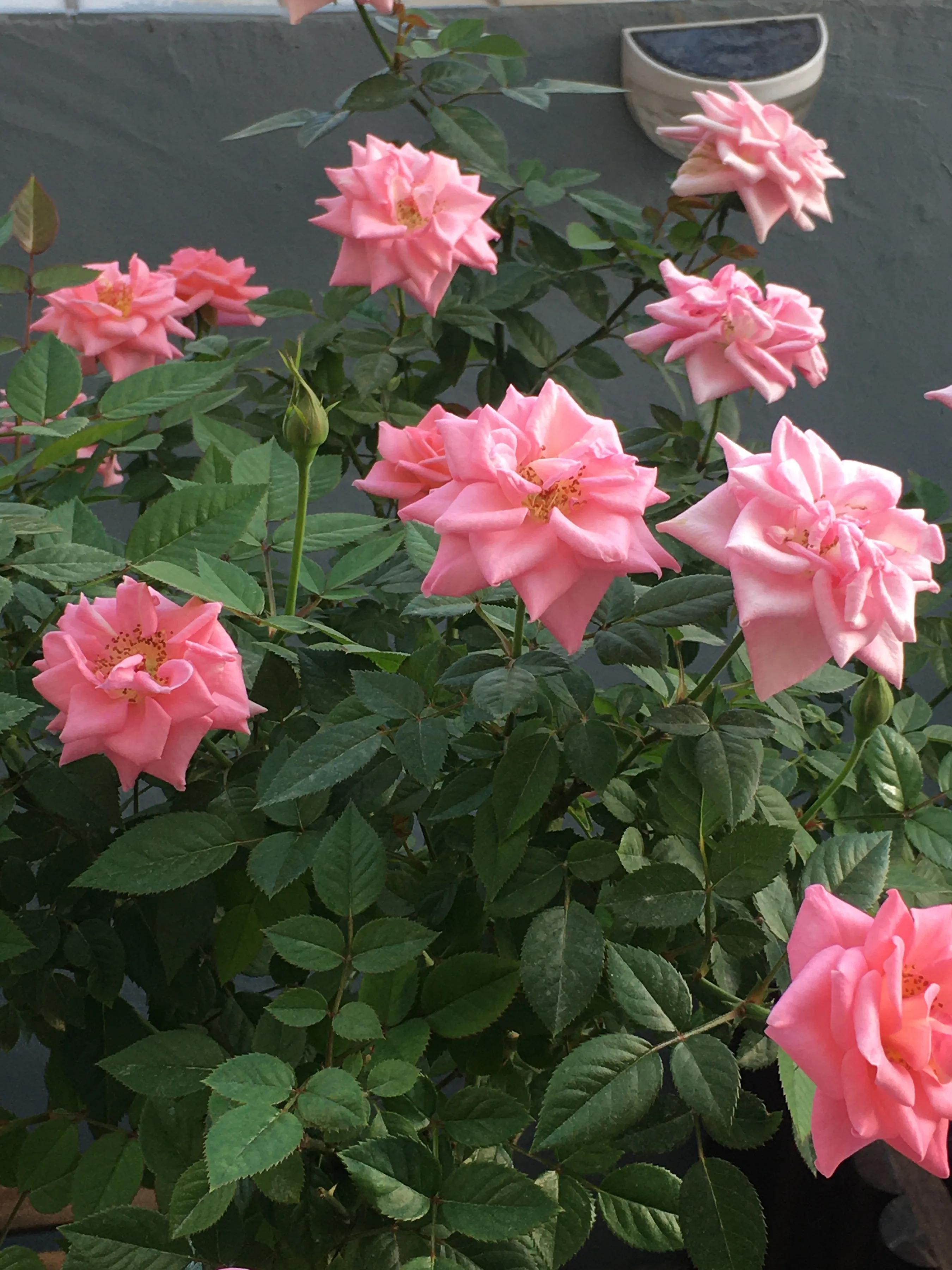 创业，你真的准备好了吗？