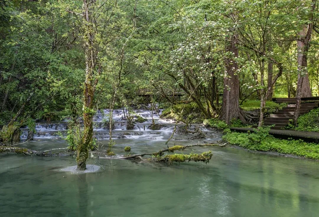 均温20℃！周边7个耍水宝地，冲浪滑水观瀑，最快1h清凉度夏