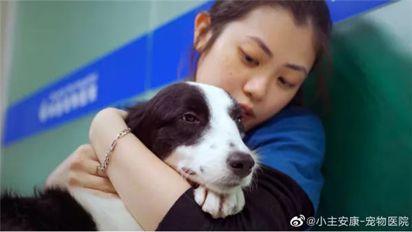 所有生命都值得温柔对待，《宠物医院3》温馨收官