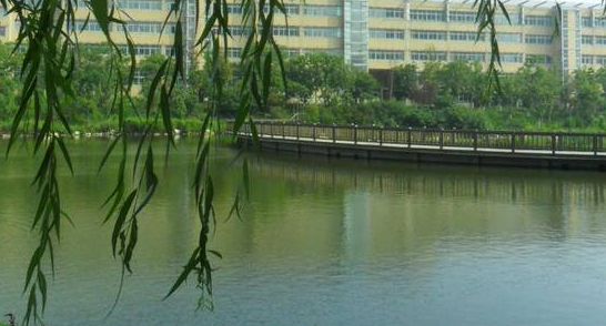 大连外国语大学2018年普通类专业各地区录取成绩