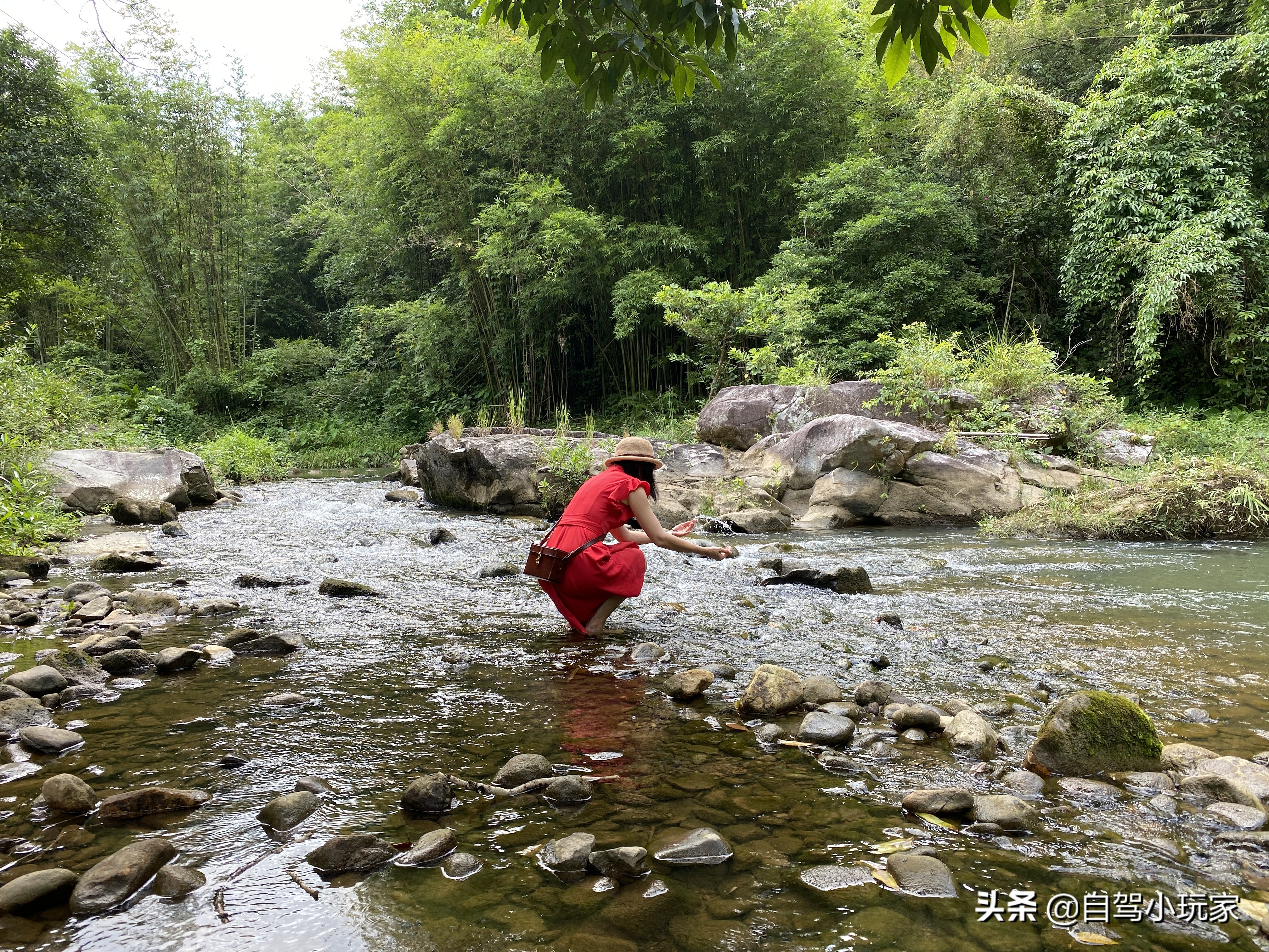 详细攻略来了！藏在惠州的这片“绿洲”，5个避暑秘境包你玩爽