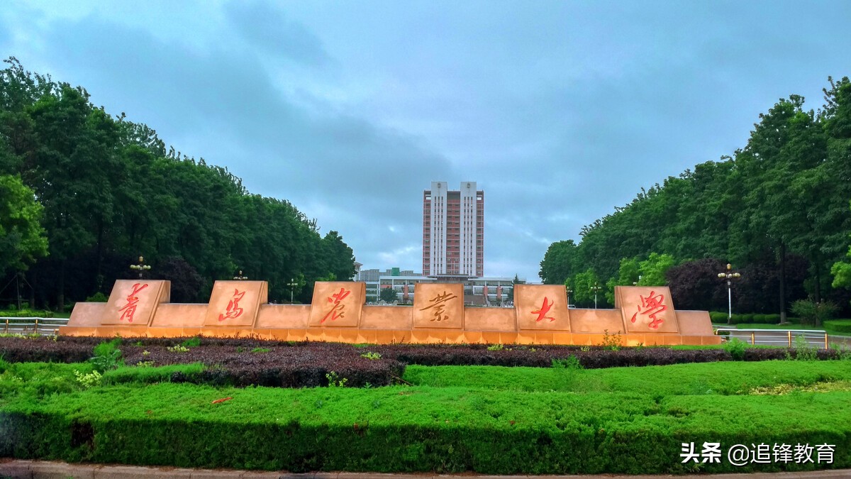 青岛农业大学简介—附2020年省内分专业录取分数及2021年选科要求