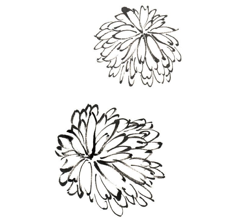 写意菊花花头的画法及用色的调配