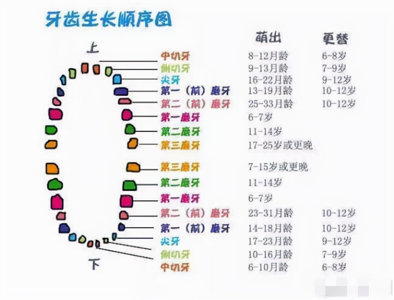 儿童牙齿生长设计图__广告设计_广告设计_设计图库_昵图网nipic.com