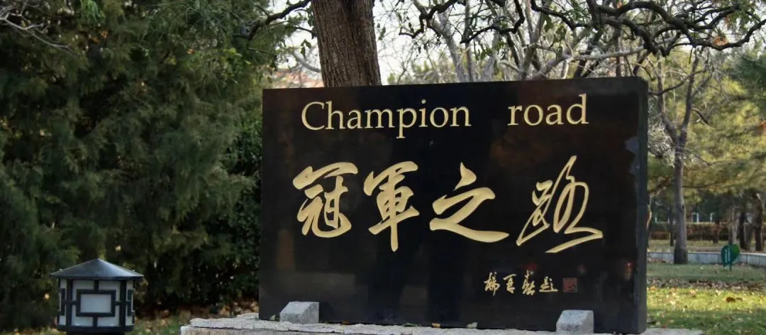 北体大(初级)太极拳教练员线上培训班开始啦，特邀王战军老师讲学