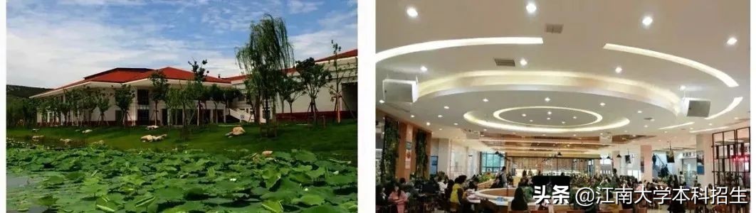 中国“最美”大学之一！占地3250亩，分布10万余棵植物，上学就像度假！