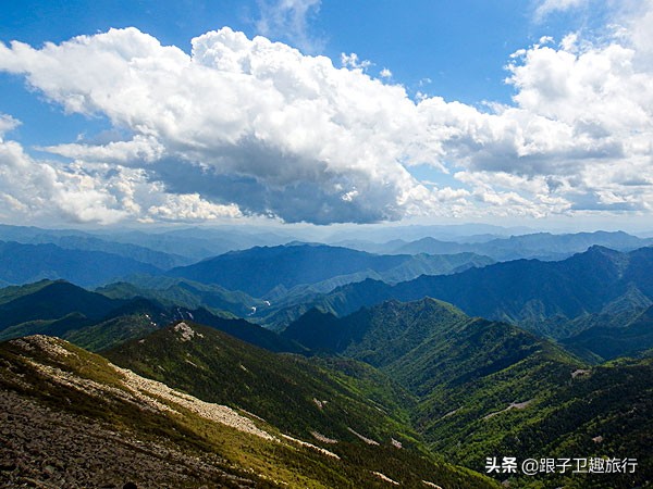 陕西境内的秦岭又被称为终南山，其长度和高度你知道多少呢