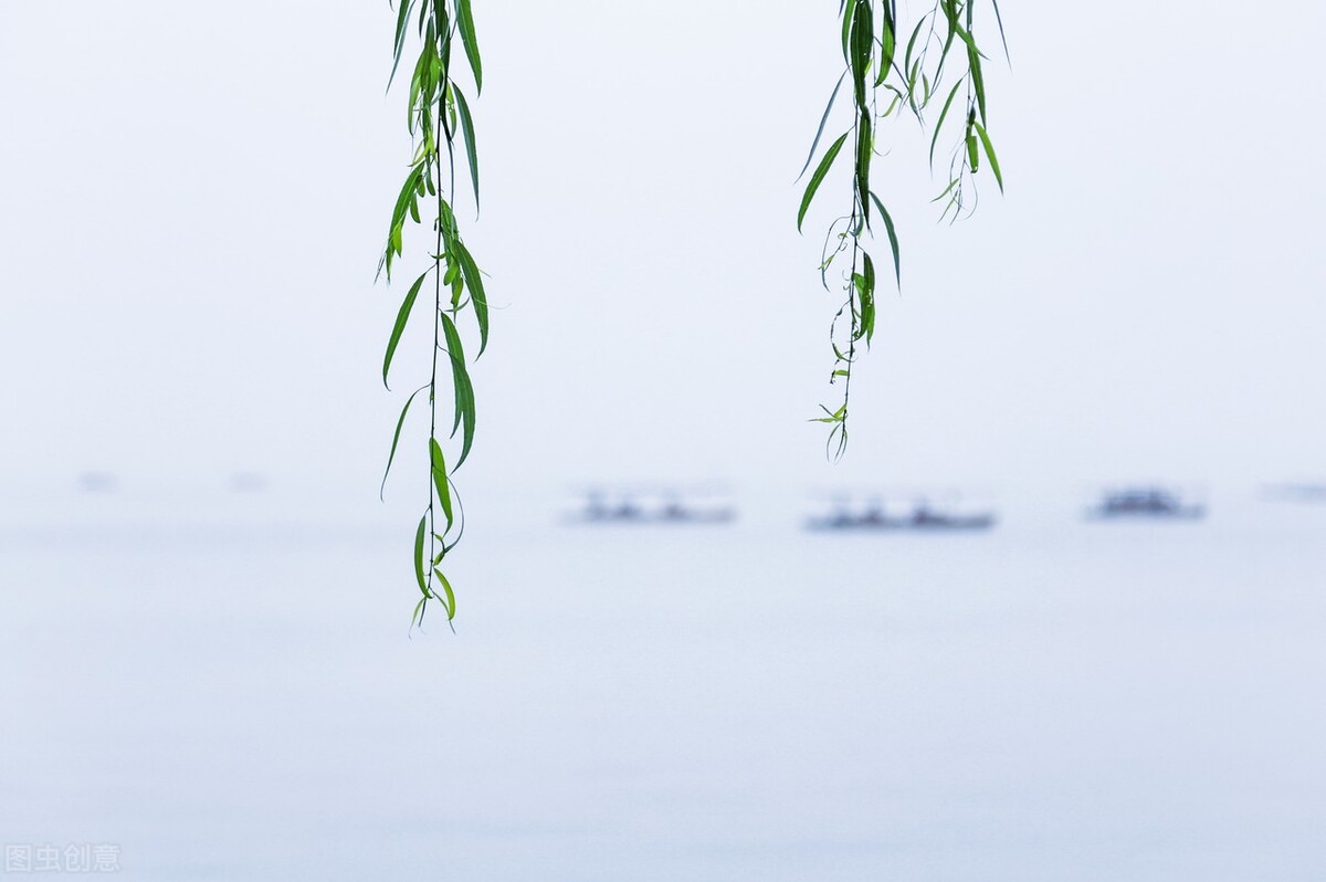 30句“酒”诗词：对酒当歌，人生几何？你读懂了什么