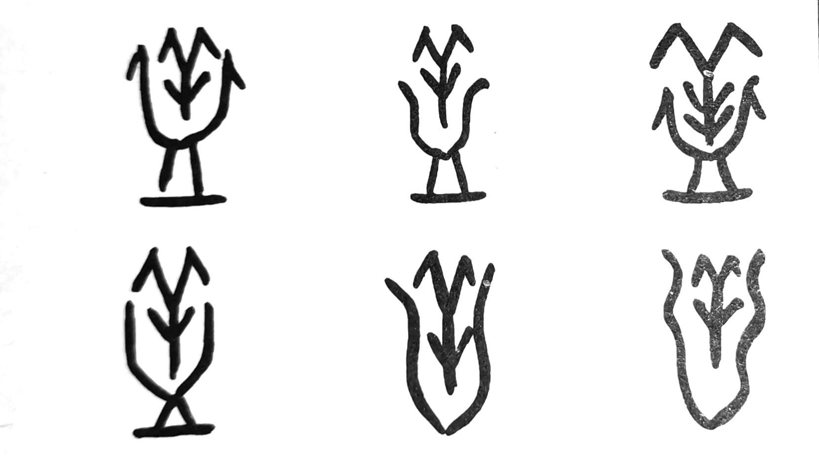 盖字有甲骨文字形,而蓋尚未发现其甲骨文字形.