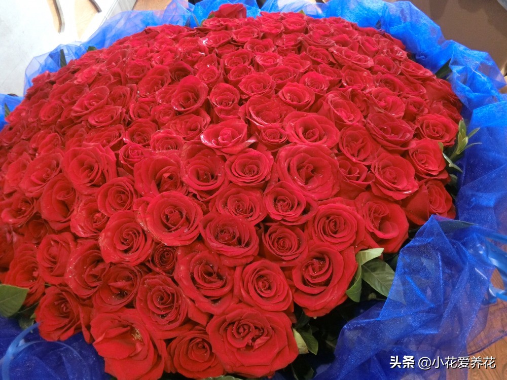 订婚送多少朵玫瑰花比较好（结婚送几朵玫瑰花合适）