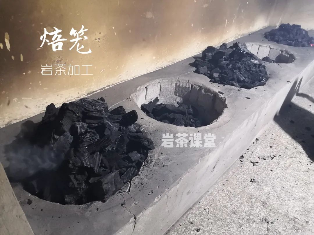 10000元一斤的岩茶，有苦涩味吗？4段经典故事，看懂苦涩味