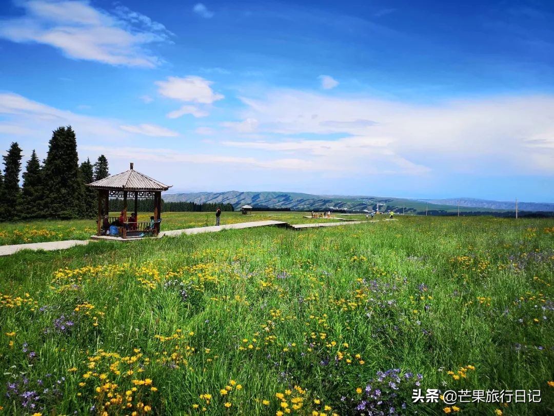 南山牧场(南山牧场旅游攻略)