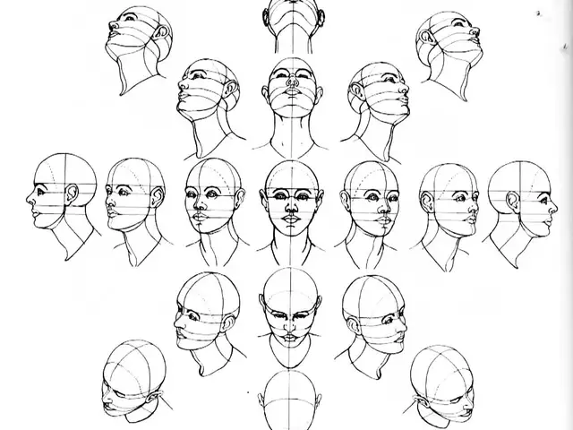 零基础学画人物头像：从入门到精通的完整教程