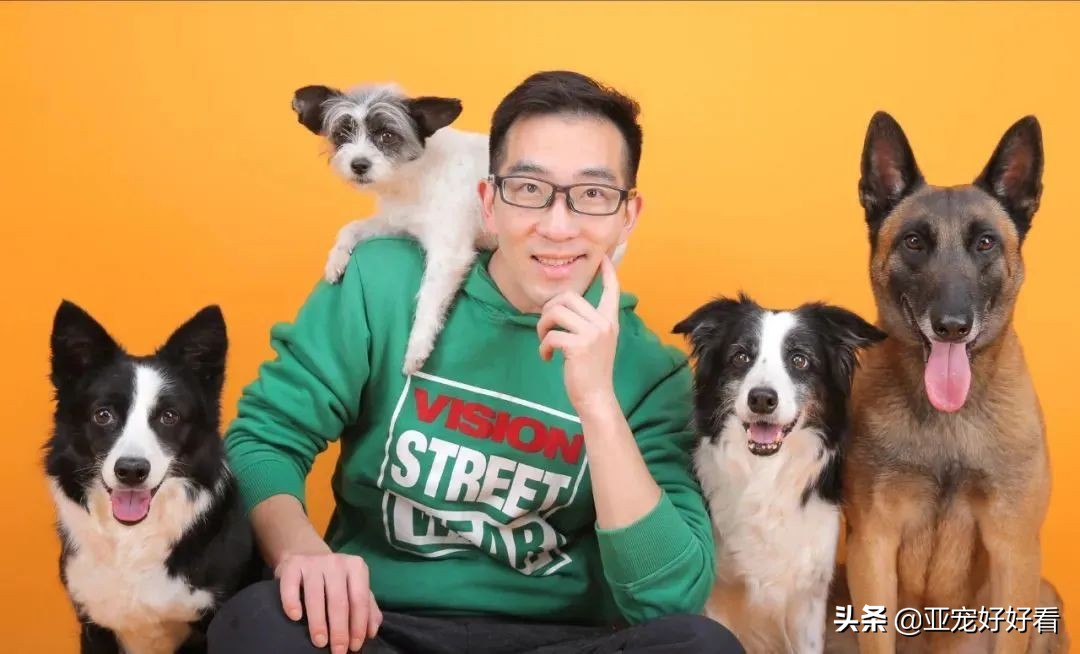 亚宠云课堂∣4月21日吴起支招宠物门店如何避免不当犬猫服务操作