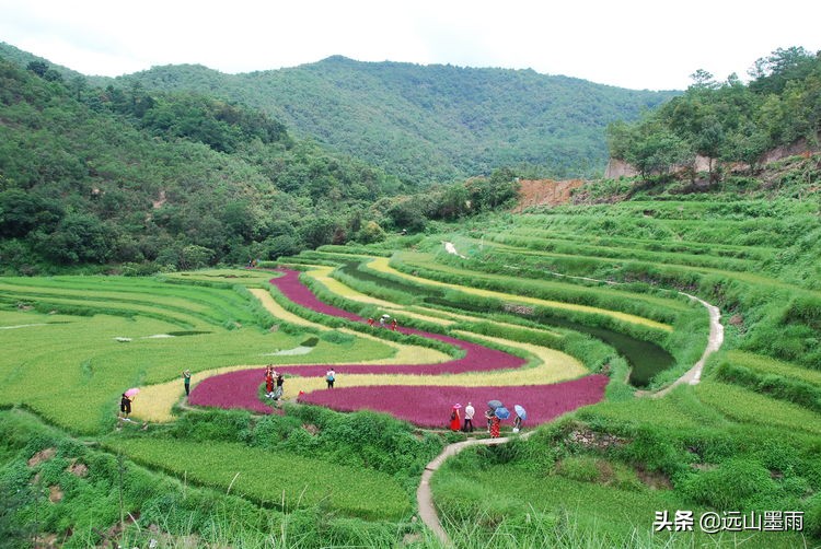 一片五彩稻田，让深藏山中的核桃箐蜚声昆明，青山、绿水，这都有