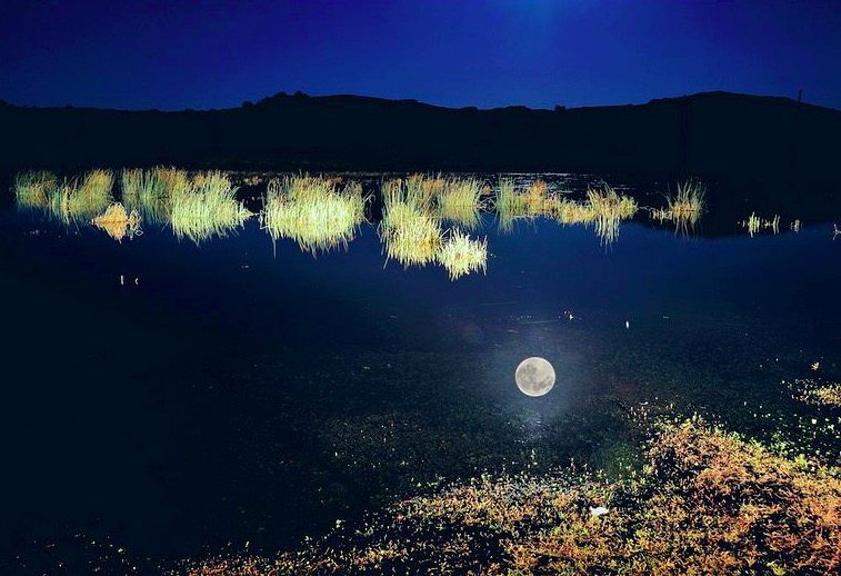 用古诗说“我不爱你了”，美到令人心碎