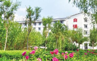 新区高校集结 | 国际化开放办学 培养高素质应用型人才，走进哈尔滨远东理工学院