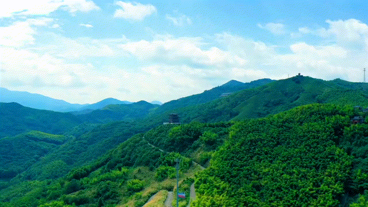 這里私藏了醉美的秋景！層林漸染，美到心醉