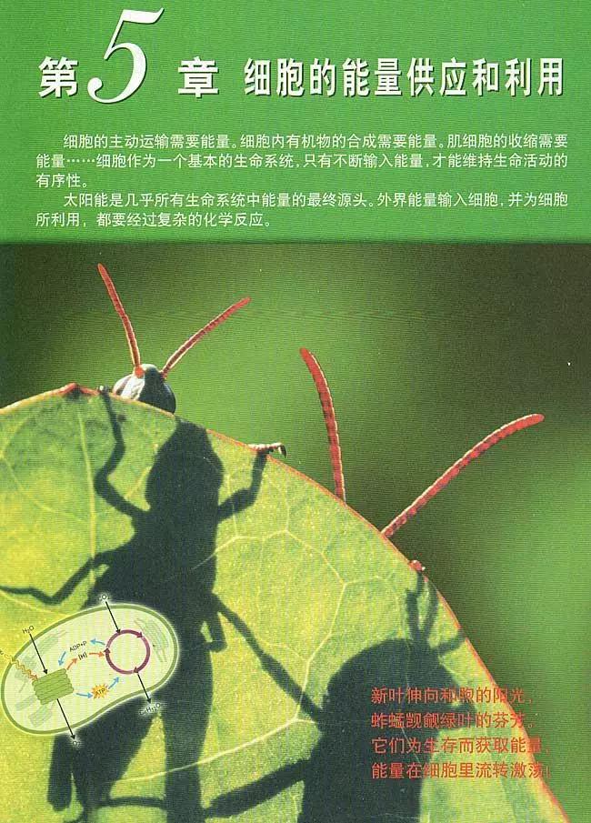 人教版高中生物（必修1）电子课本（高清版）