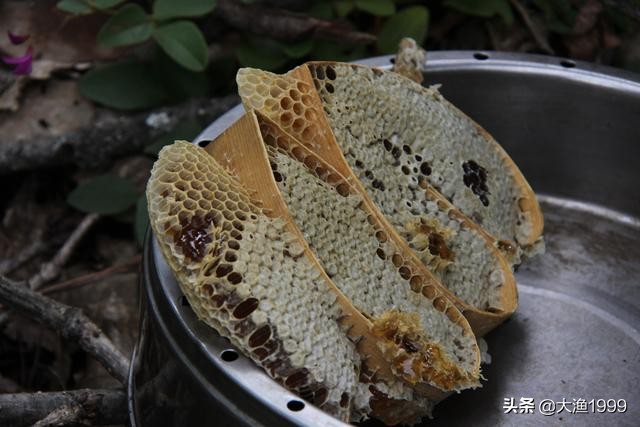 寻找最天然蜂蜜：到云南维西傈僳山寨品尝百花野蜂蜜