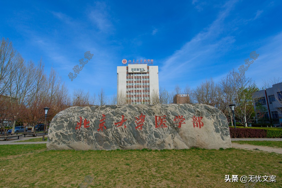 2019年高校提前批投档分数线排名，北大医学部再次爆冷