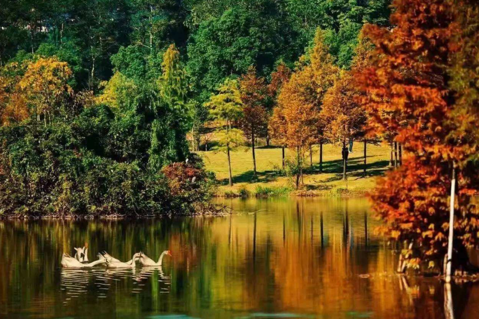 「诗词鉴赏」十首最美的秋日诗词，一起感知秋日美好