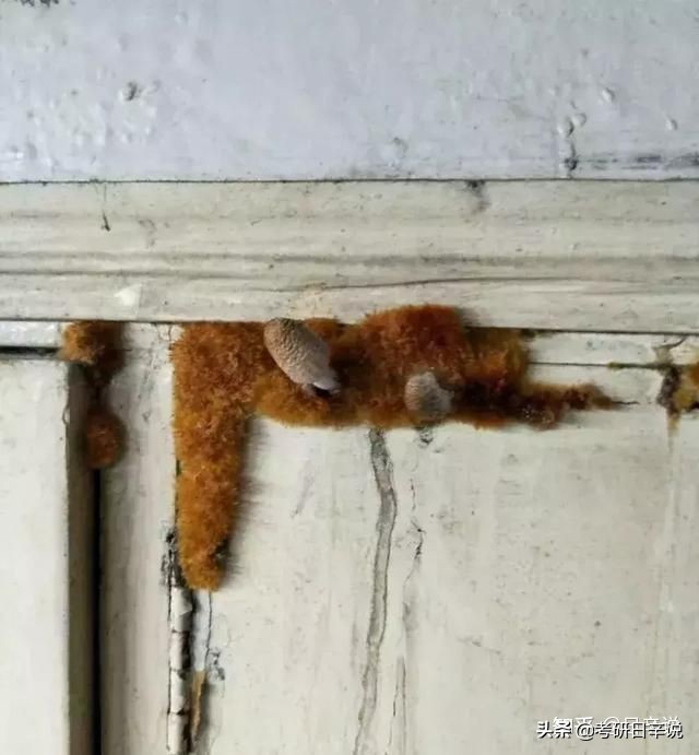 22考研，宿舍条件应当是重要考虑因素吗，有哪些 不推荐的学校？