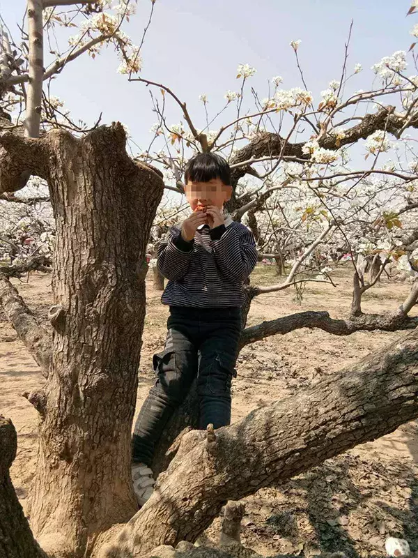 蹦蹦床被掀翻致2儿童死亡,一摊贩家属承认......