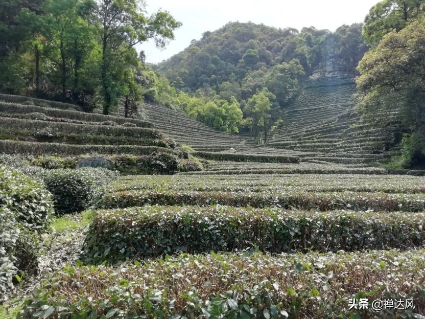 穿过九溪十八涧.去龙井问泉