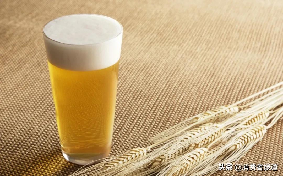 12款啤酒测试:、珠江等用料较“杂”;嘉士伯、青岛泡沫持久性垫底
