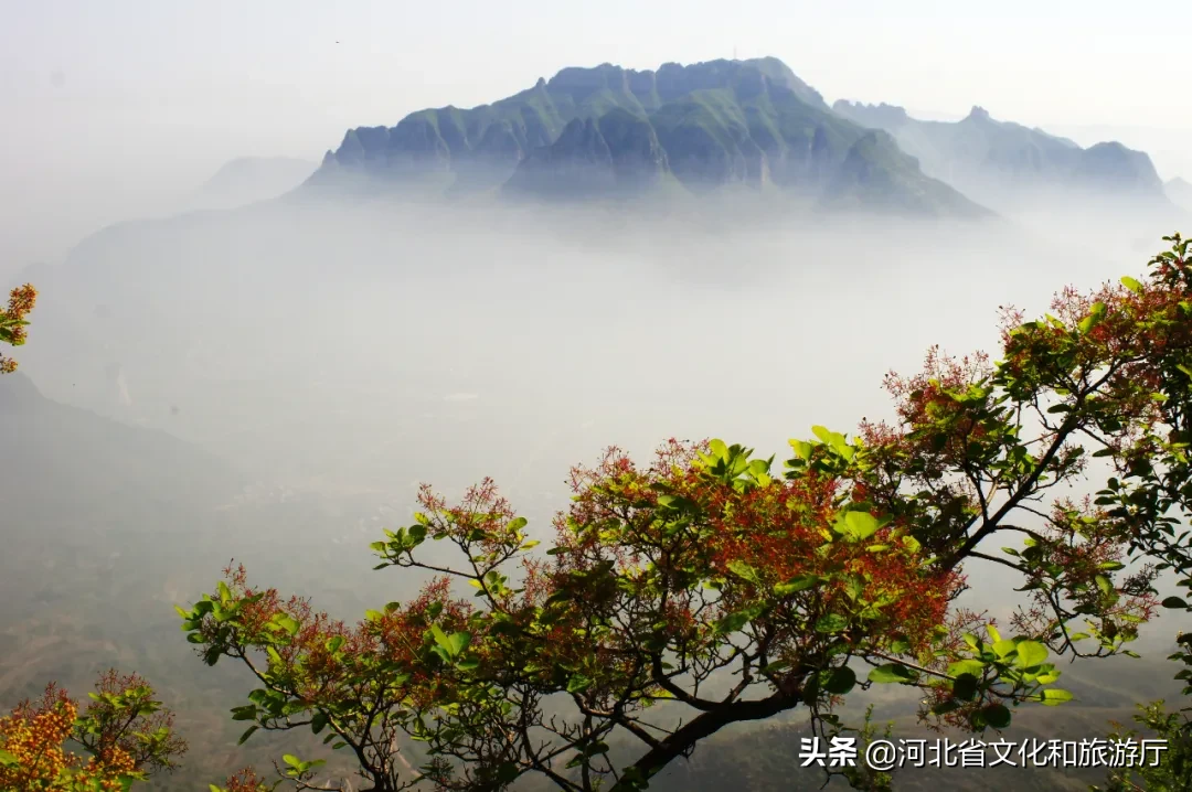 五行山在哪里哪个省（带你重温孙悟空被压五指山的故事）