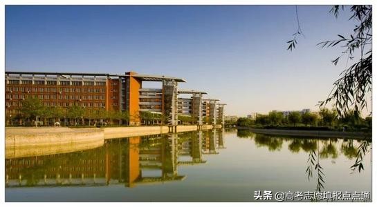 河南大学优势热门专业分析及2019、2018、2017年各省录取分数线