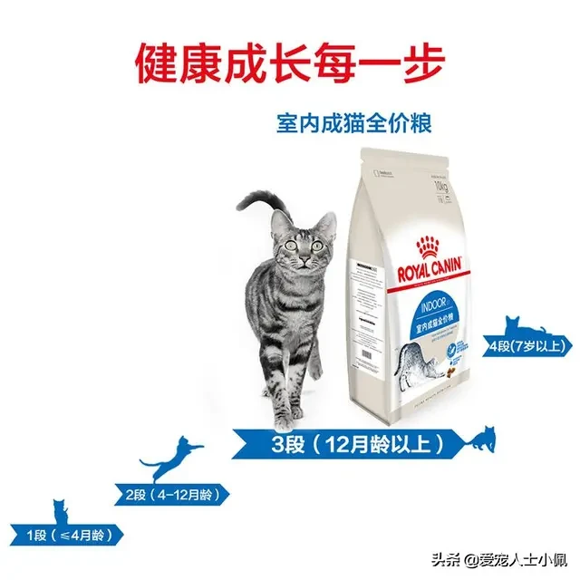猫咪为什么会流眼泪？是猫咪感觉到了悲伤还是猫咪生病了？
