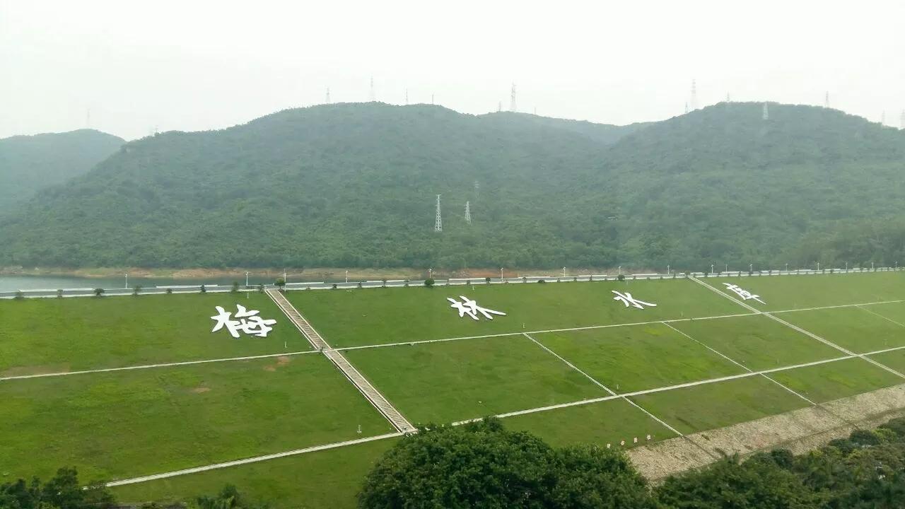 深圳39个景点，免费玩
