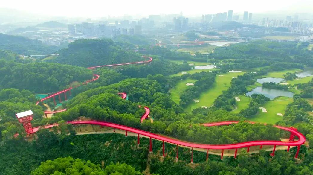 亲子家庭出游好去处,深圳50个景点免费玩