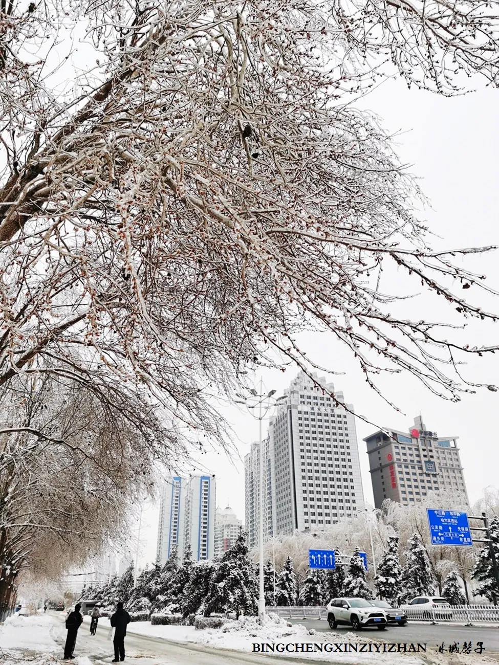 冰城暴雪冻雨之时，却让哈尔滨成为冬的水墨画卷