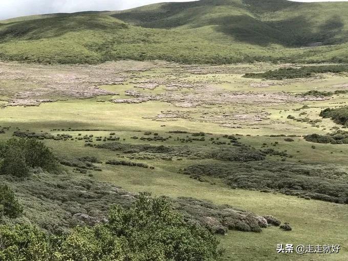 十大贫困县,贵州十大贫困县