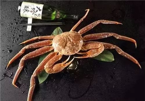 2万元?日本鸟取县顶级"五辉星"松叶蟹拍卖再创天价!