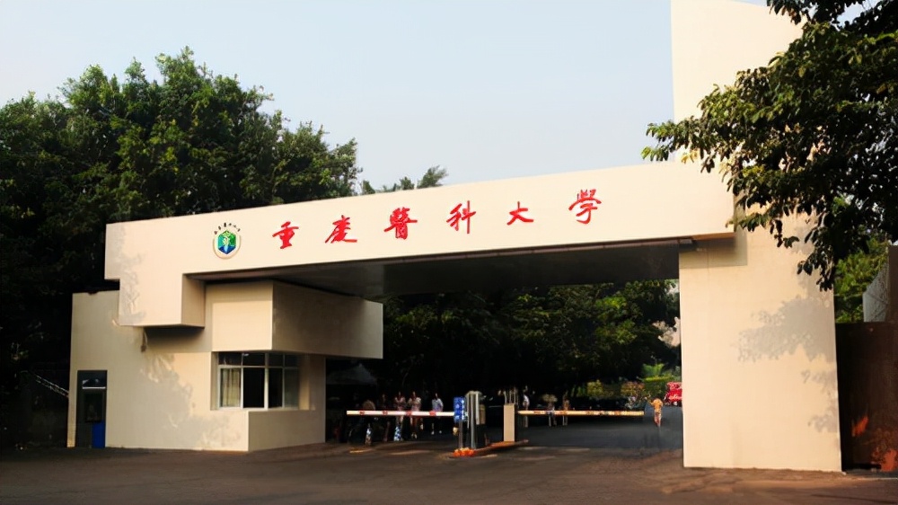 重庆一所医科大学，医学实力出众，虽为双非院校，报考难度却极高