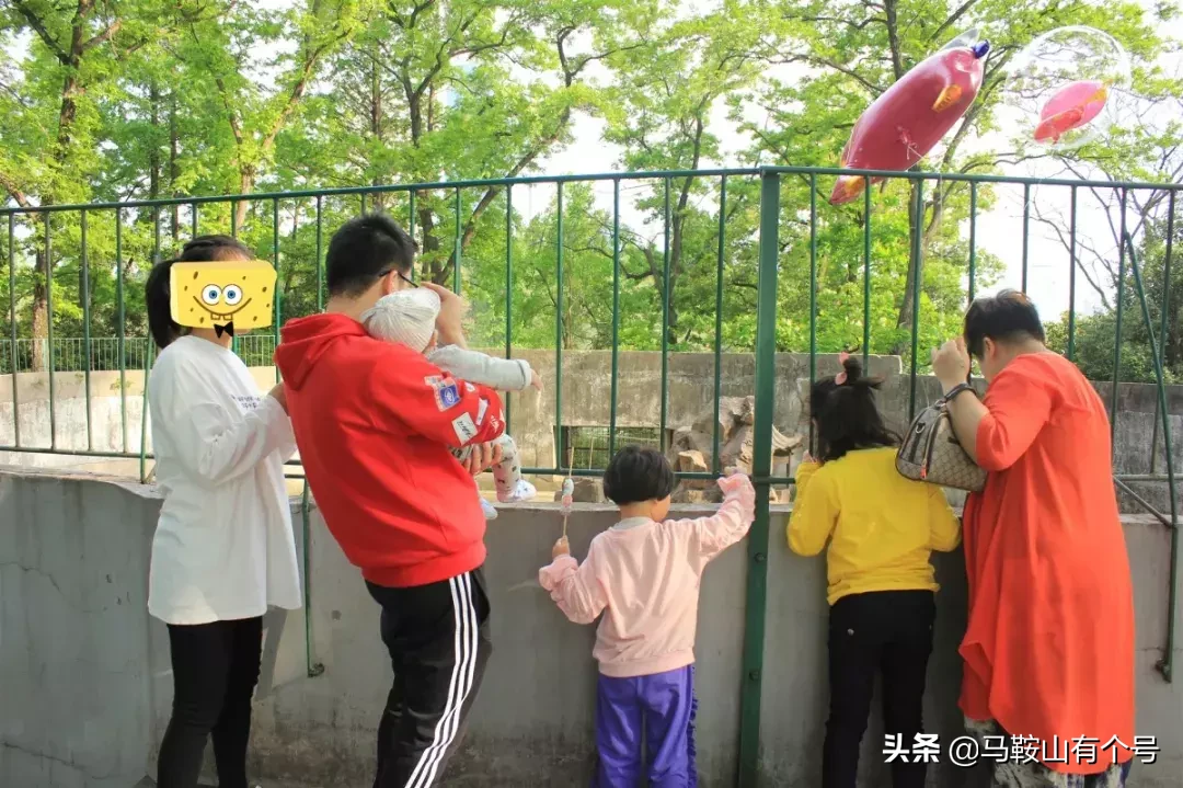 马鞍山人，别忘了动物园！这里曾是我们的全部！