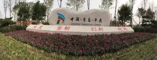 青岛90后小伙卖假睫毛：入行2年，投资30万如今年销3000万