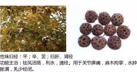 300个中草药图谱（附主治功效），知道一半就太牛了（上）