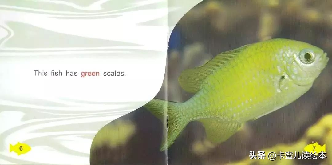 英文有聲繪本《Fish Colours》魚的顏色