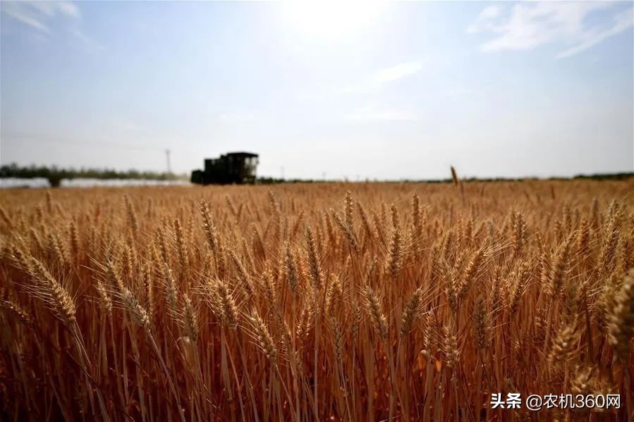 寫給小麥機(jī)用戶：購機(jī)時使用5大策略增加收益保障