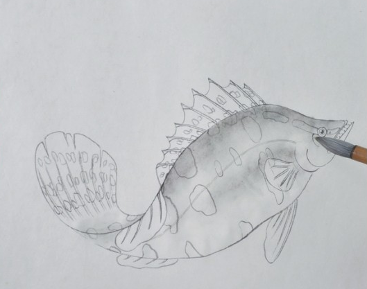分步骤讲解工笔鳜鱼的基本画法及染色