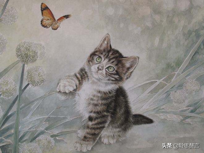 咏猫诗词精选三十三首 吸猫雅事，古已有之