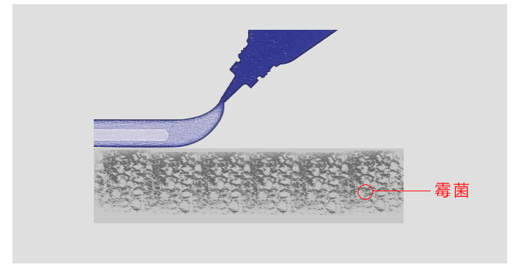 卫生间的5个“神设计”，若你一个没有，证明活在10年前