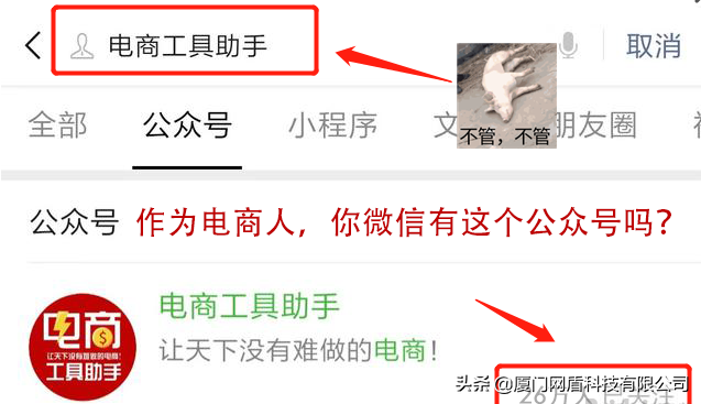 「电商干货」新手必读之“淘金币”史上最全玩法